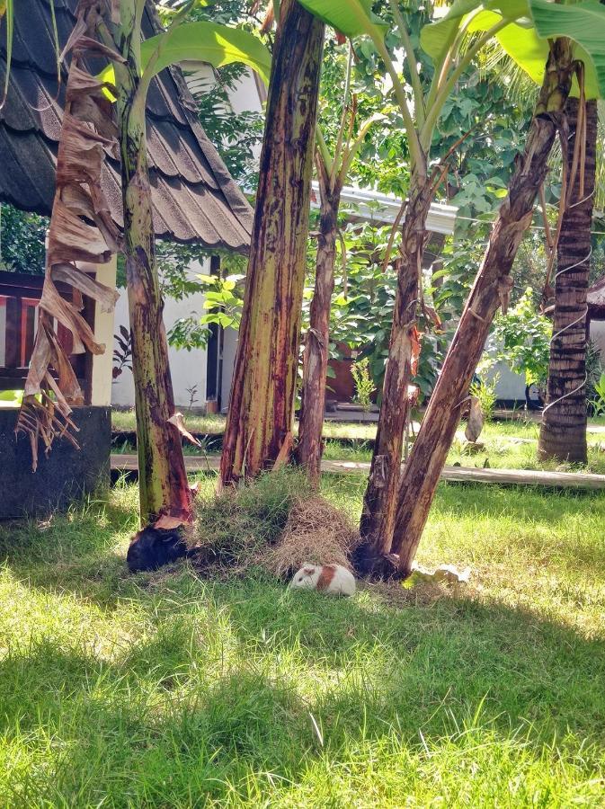 Follow The Rabbit Guest house *