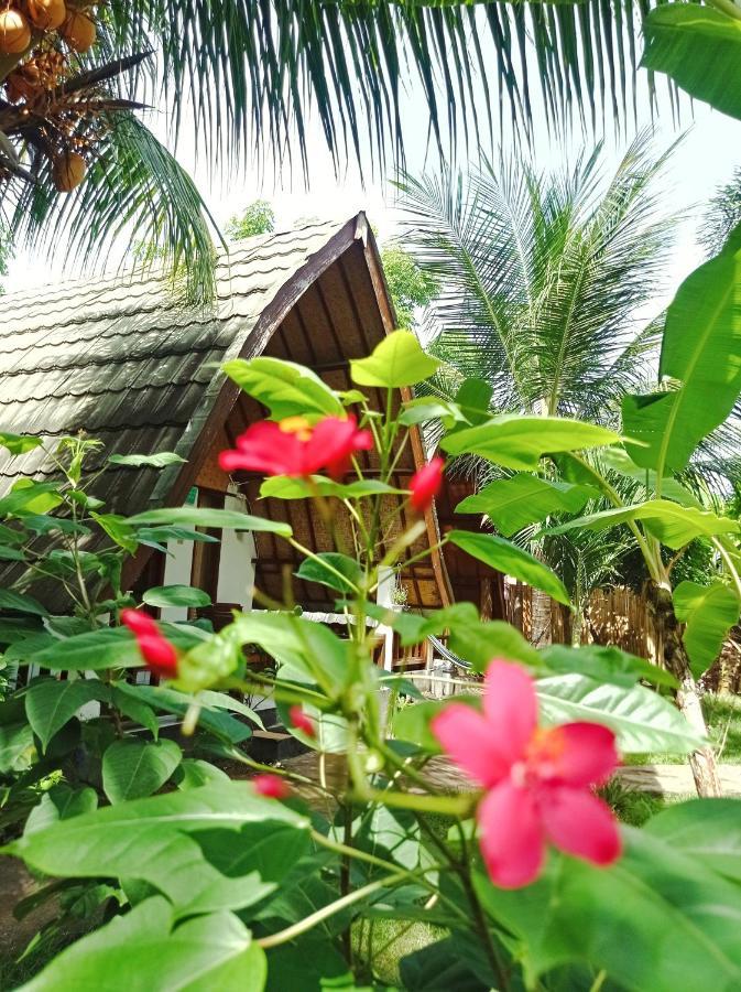 Guest house Follow The Rabbit *